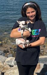 Reunited Female Dog last seen Crerekford/ WinterGardens, Lakeside, CA 92040