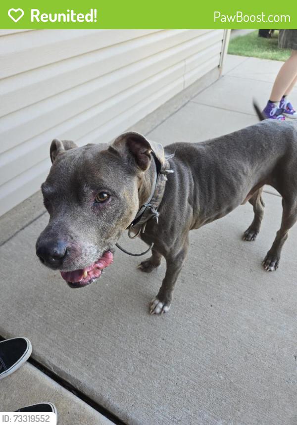 Reunited Male Dog last seen The Village, The Village, OK 73120