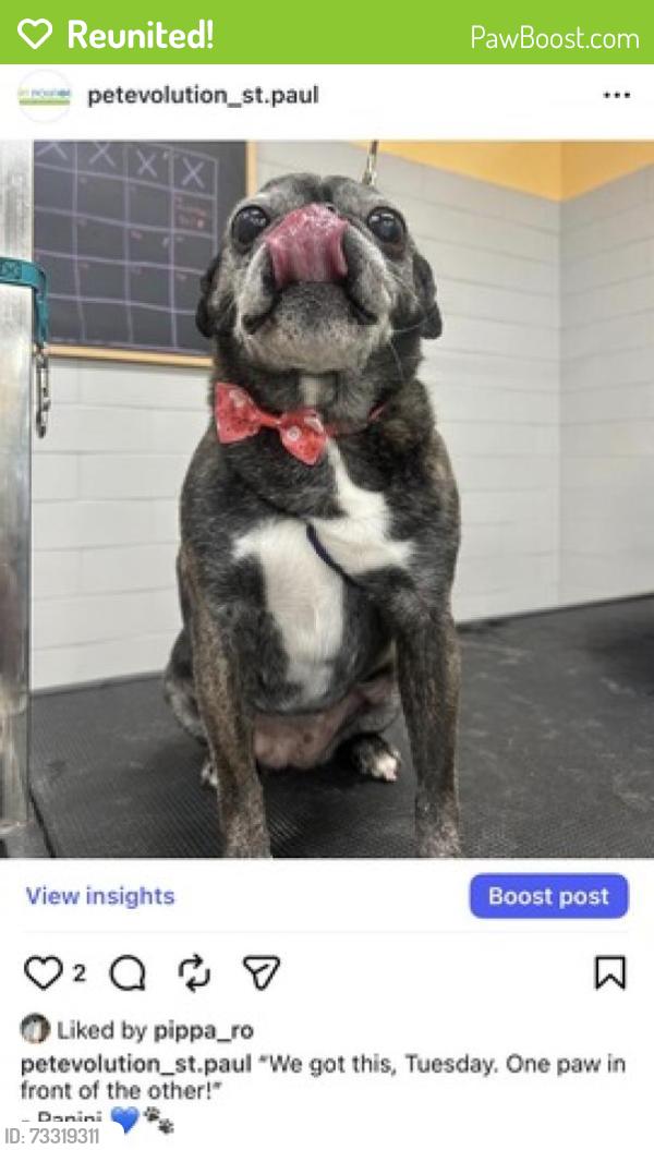 Reunited Female Dog last seen Wilson ave, hazelwood st, Saint Paul, MN 55106