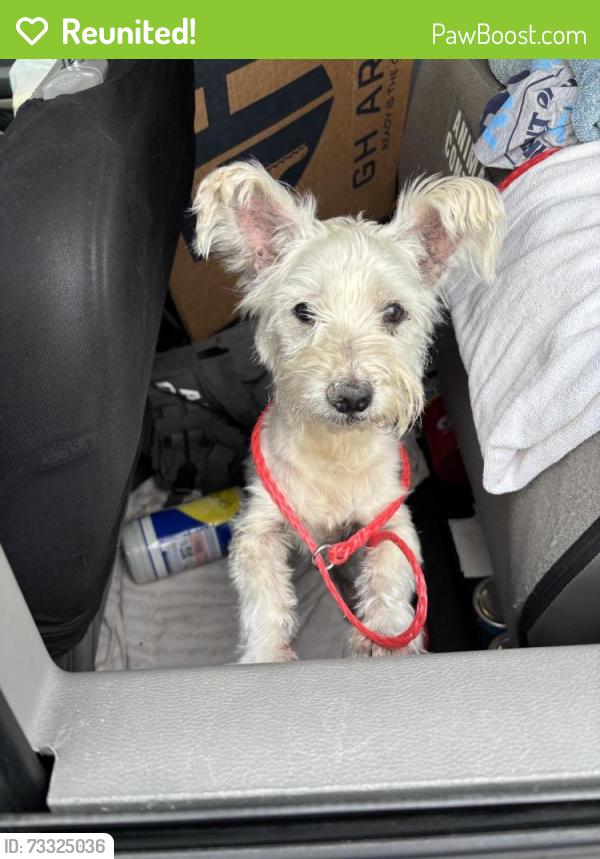 Reunited Unknown Dog last seen Port St Lucie, Port St. Lucie, FL 34986