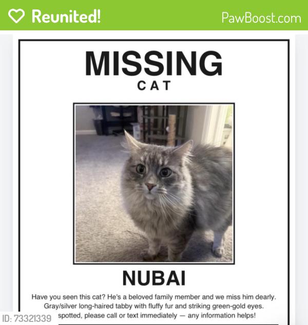 Reunited Male Cat last seen Hampden and chambers, Aurora, CO 80012
