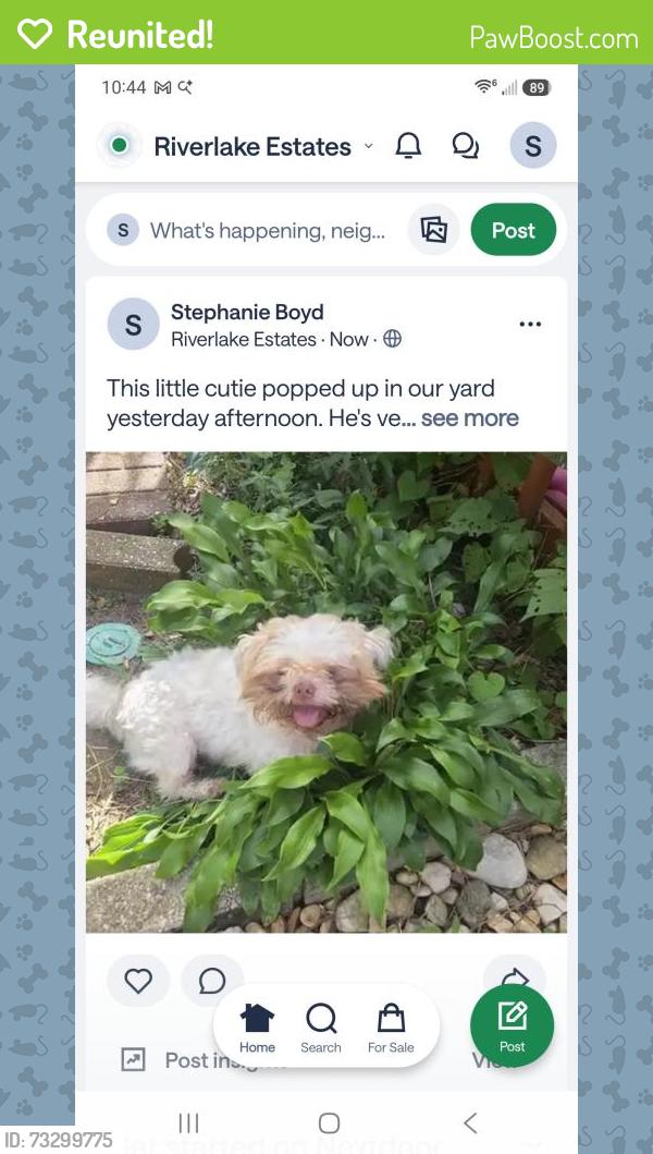 Reunited Male Dog last seen Riverwood spring, DeKalb County, GA 30294