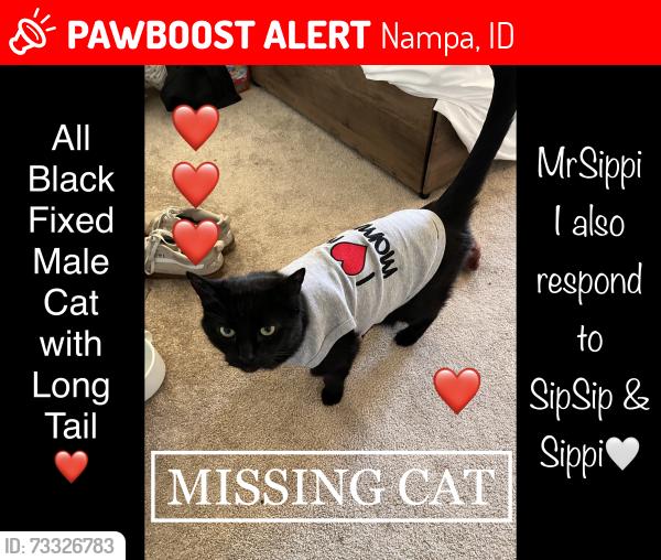 Lost Male Cat last seen Southside & Locust, Nampa, ID 83651