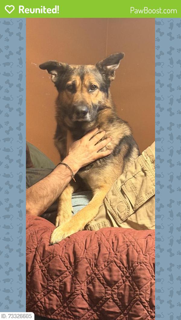 Reunited Male Dog last seen S Red Cedar Cir, The Woodlands, TX 77380, USA, The Woodlands, TX 77380