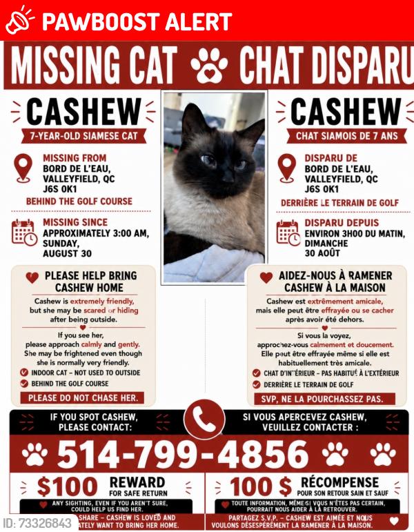 Lost Female Cat last seen du golf, Salaberry-de-Valleyfield, QC J6S 0K1