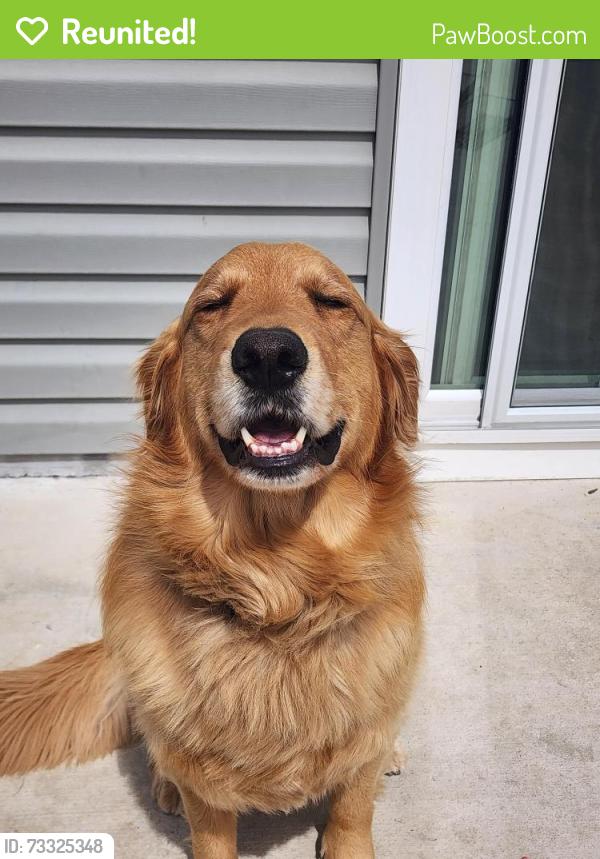Reunited Male Dog last seen Partridge Village neighborhood, Lillington, NC 27501