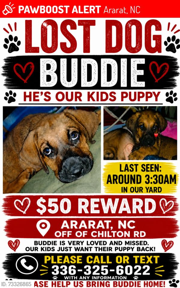 Lost Male Dog last seen Eldora Rd, Ararat, NC 27007