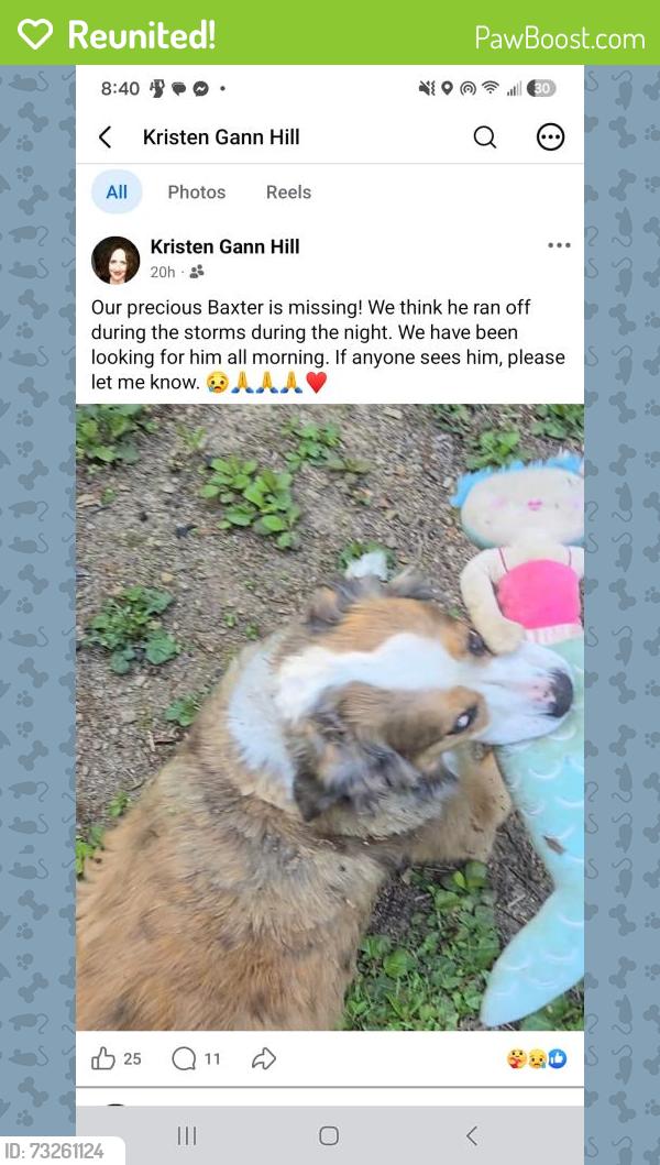 Reunited Male Dog last seen McDonald Rd, Apison, TN 37302