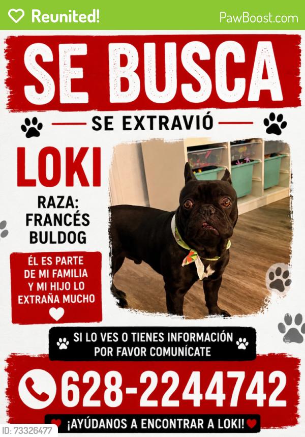 Reunited Male Dog last seen Lycett circle, Daly City, CA 94015