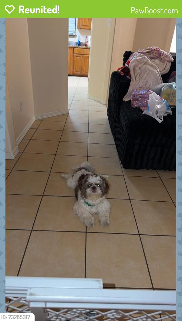 Reunited Male Dog last seen Moorefield rd, Mission, TX 78572