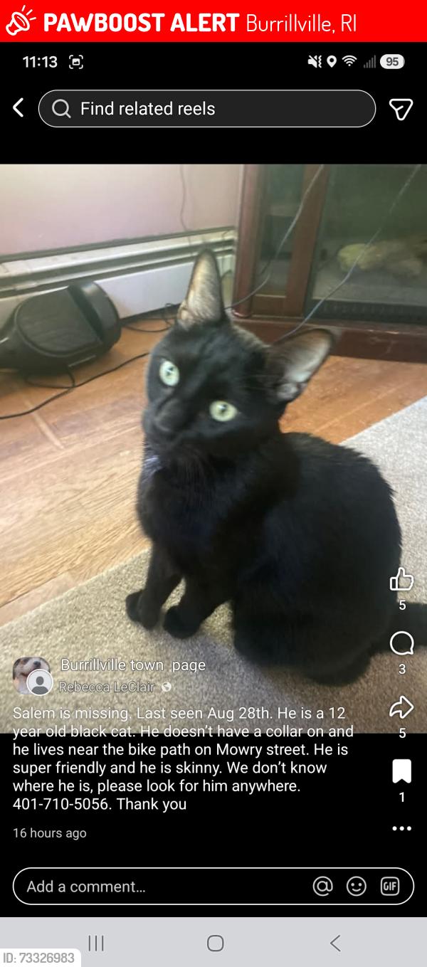 Lost Male Cat last seen Near bike path, Burrillville, RI 02830