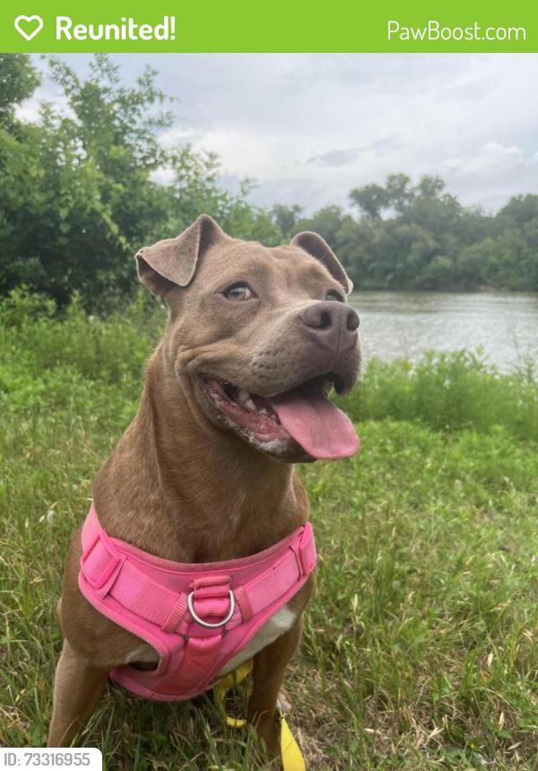 Reunited Female Dog last seen Magnolia, Casa Do Brasil, Waco, TX 76702