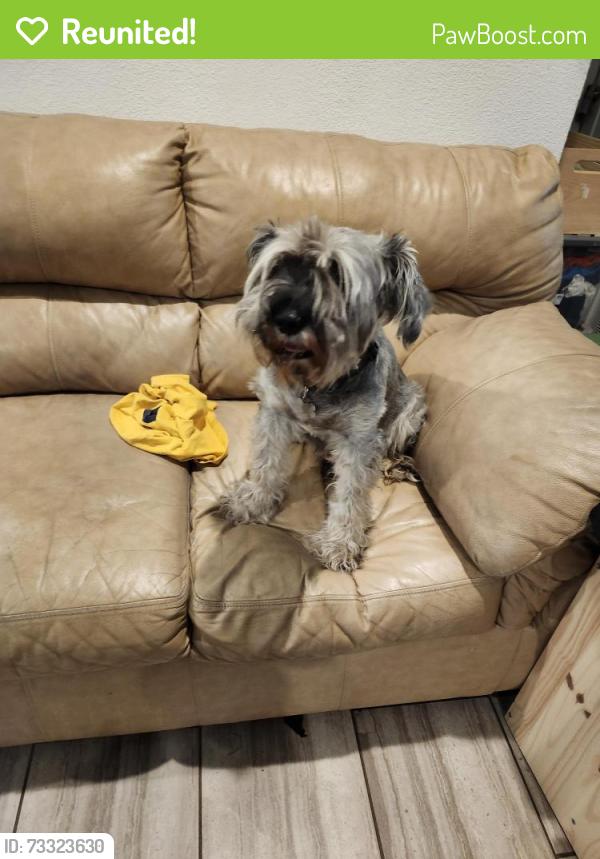 Reunited Male Dog last seen Near deer forest, San Antonio, TX 78239