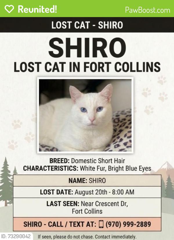Reunited Female Cat last seen Near Crescent Dr, Fort Collins, CO 80526, USA, Fort Collins, CO 80526