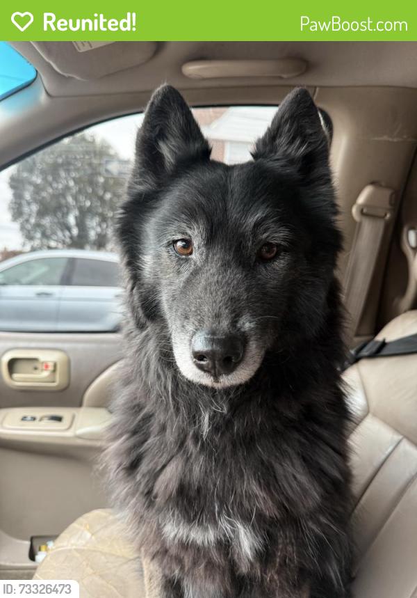 Reunited Female Dog last seen Juniata park, Philadelphia, PA 19124