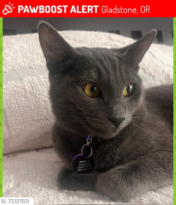 Lost Male Cat last seen Cason Lane, Gladstone Oregon, Gladstone, OR 97027