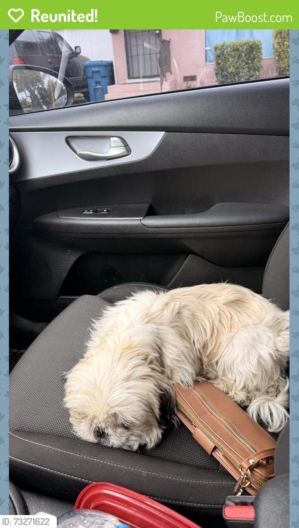 Reunited Female Dog last seen Kenneth ave, Salinas, CA 93905