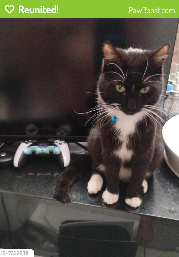 Reunited Male Cat last seen Northwest Pkwy, San Antonio, TX 78230