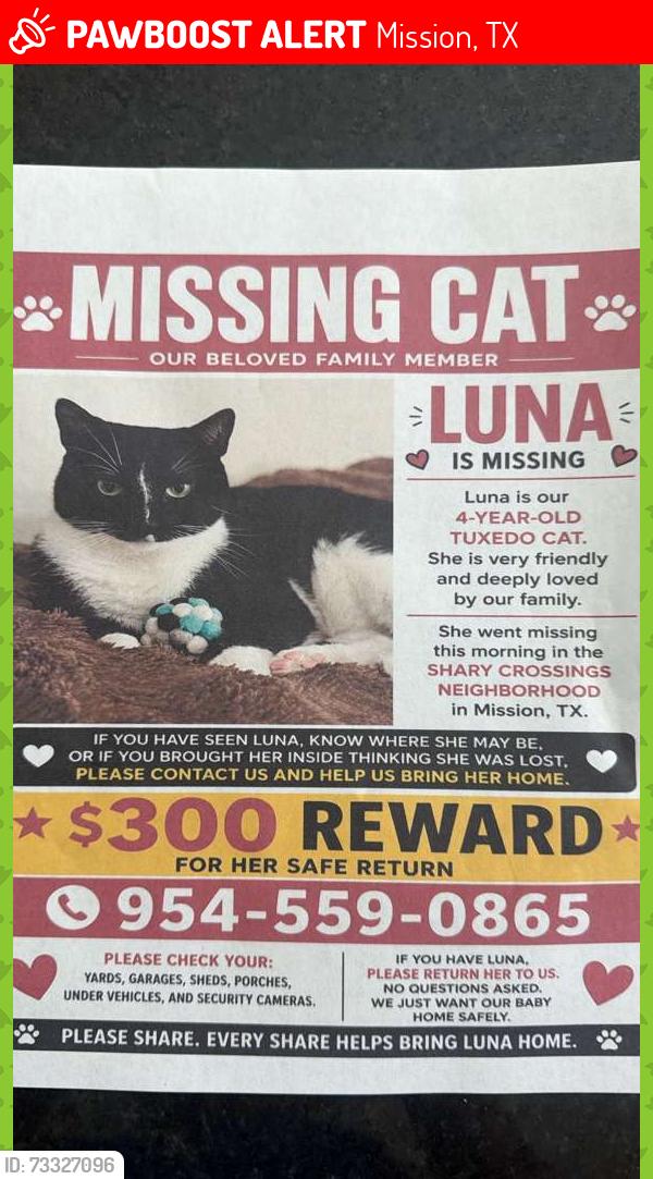 Lost Female Cat last seen Near E Sixth St Mission, TX 78572 United States, Mission, TX 78572