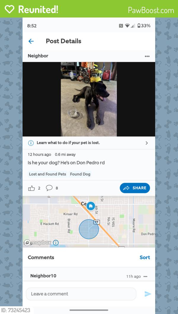 Reunited Male Dog last seen Mitchell, Ceres, CA 95307