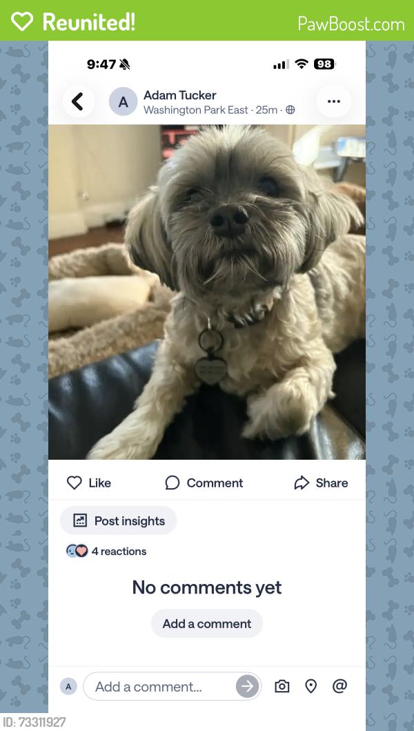 Reunited Female Dog last seen South Race and Virginia, Denver, CO 80209