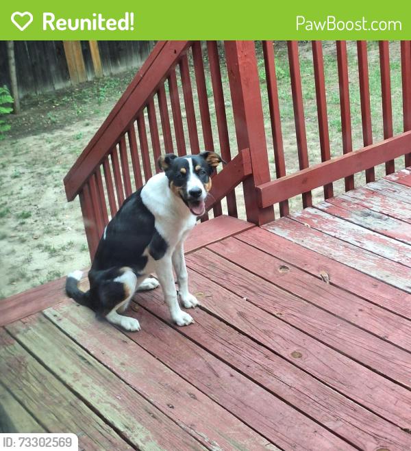 Reunited Unknown Dog last seen Uvalda and Florida, Aurora, CO 80247
