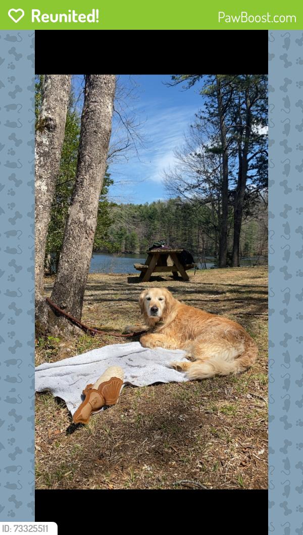 Reunited Female Dog last seen Bryan easler Toyota, Hendersonville, NC 28792
