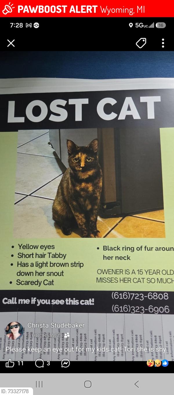 Lost Female Cat last seen Burlingame and Plas, Wyoming, MI 49519