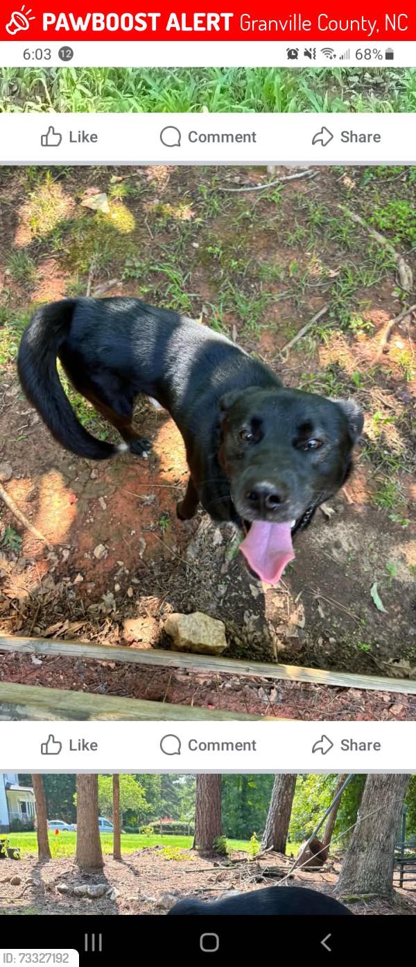 Lost Male Dog last seen Old franklinton suitt store rd, Granville County, NC 27525