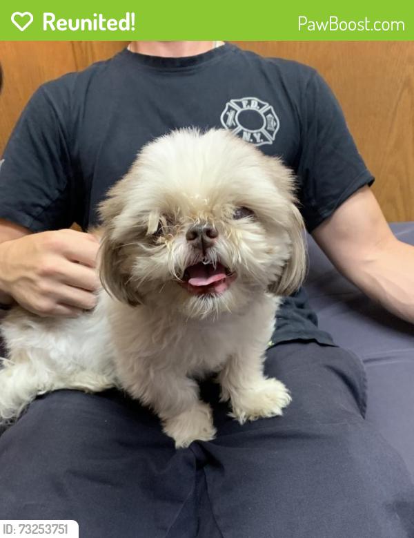 Reunited Female Dog last seen Annandale Bakery, Staten Island, NY 10312