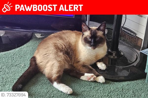 Lost Female Cat last seen Near Ave NE and 47 St NE, Salmon Arm, BC V0E 1K0