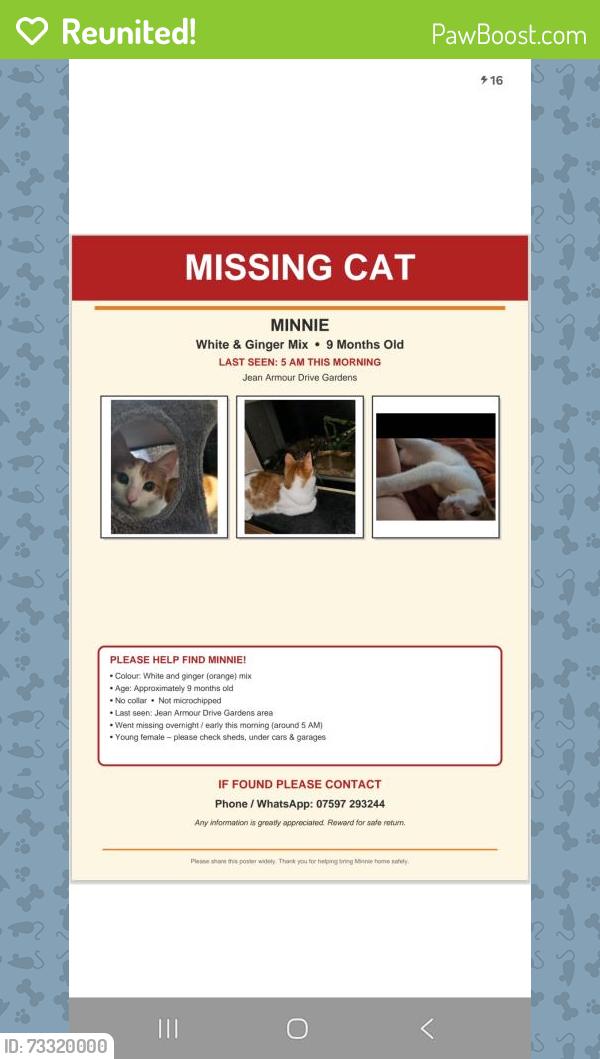 Reunited Female Cat last seen Great Western Road, West Dunbartonshire Council, Scotland G81 2EX