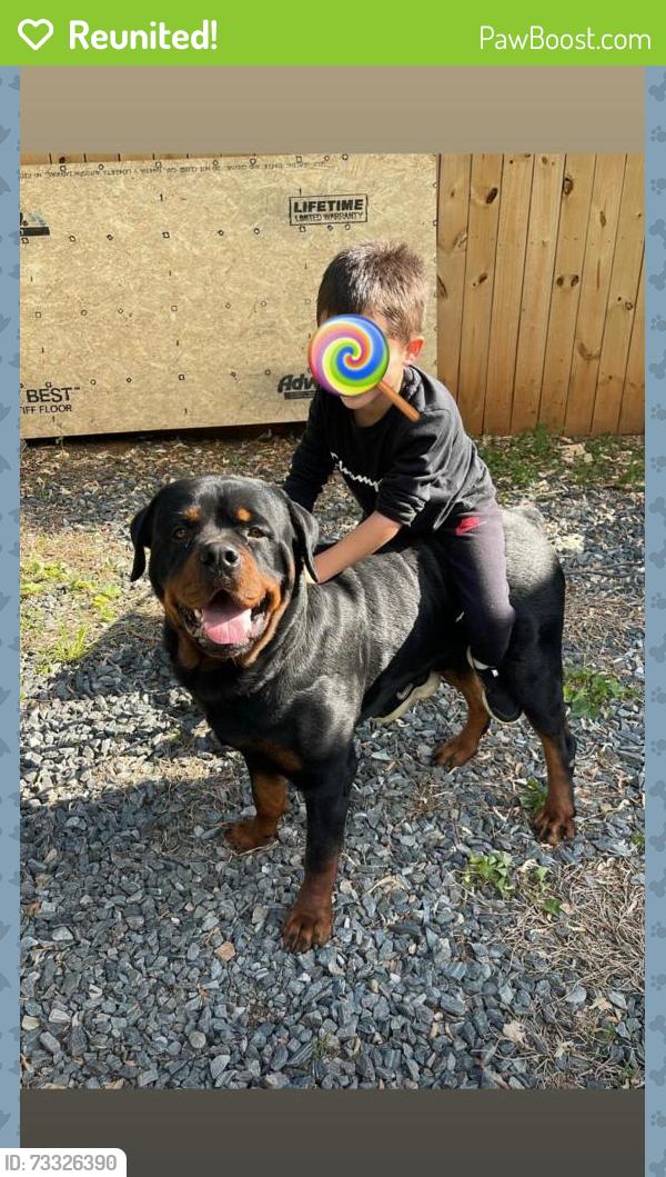 Reunited Male Dog last seen Gatesville rd, Greensboro, NC 27405