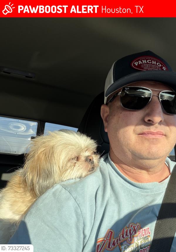 Lost Female Dog last seen Eldel and Garbo, Houston, TX 77015