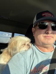 Lost Female Dog last seen Eldel and Garbo, Houston, TX 77015