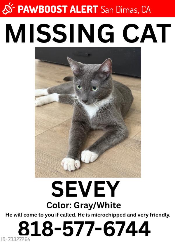 Lost Male Cat last seen San Dimas / La Verne area, San Dimas, CA 91773