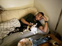 Lost Female Cat last seen Near Greenspring Avenue, Baltimore, MD 21209