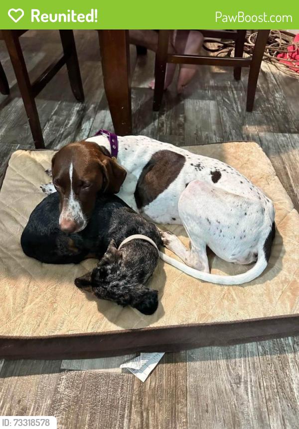 Reunited Female Dog last seen Hwy321/cr306, Cleveland, TX 77327