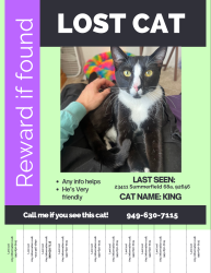 Lost Male Cat last seen The first turn in of ravello apmts, Aliso Viejo, CA 92656