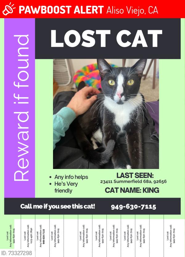 Lost Male Cat last seen The first turn in of ravello apmts, Aliso Viejo, CA 92656