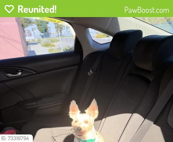 Reunited Female Dog last seen Bowie High School, El Paso, TX 79905