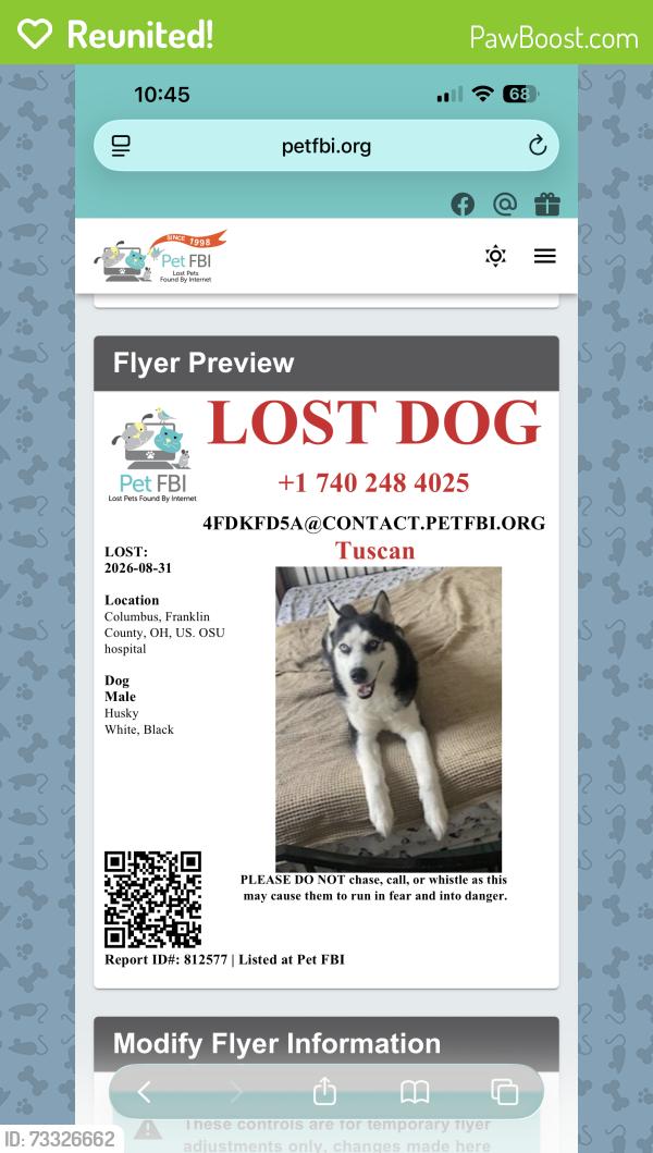 Reunited Male Dog last seen OSU hosp, Columbus, OH 43201
