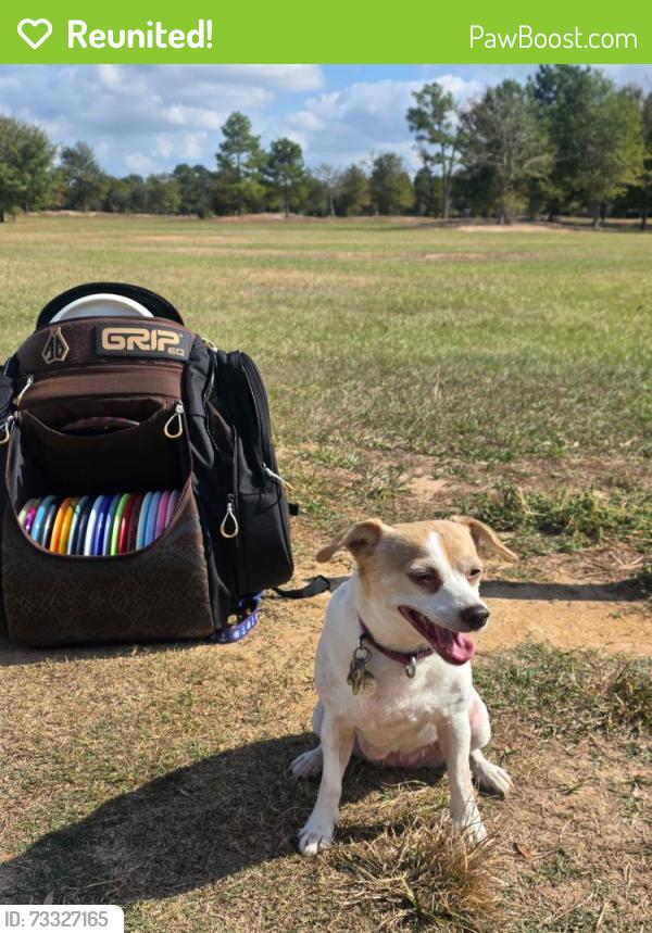 Reunited Female Dog last seen Scott, Houston, TX 77047