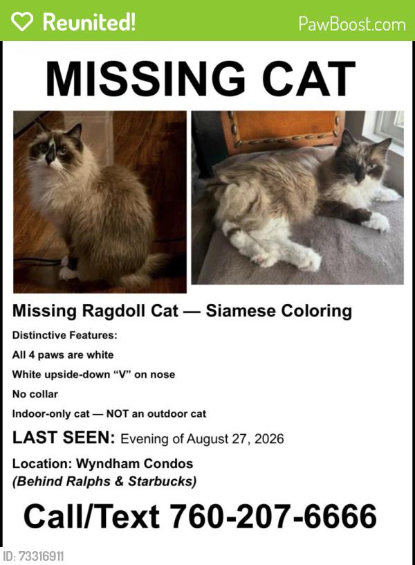 Reunited Male Cat last seen World Trade Drive/Highland Ranch Rd, San Diego, CA 92128