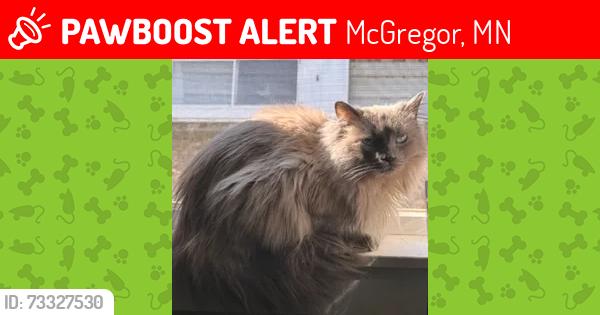 Lost Male Cat last seen Near MN-65, McGregor, MN 55760, USA, McGregor, MN 55760