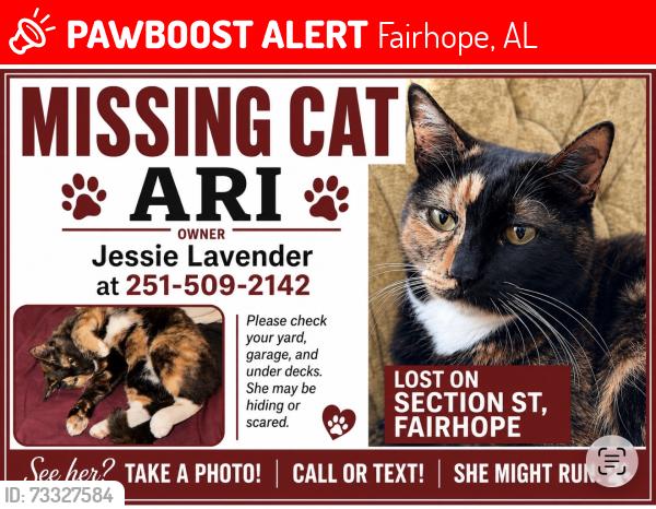 Lost Female Cat last seen Fairhope Dump, Fairhope, AL 36532