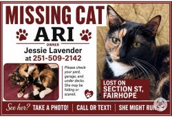 Lost Female Cat last seen Fairhope Dump, Fairhope, AL 36532