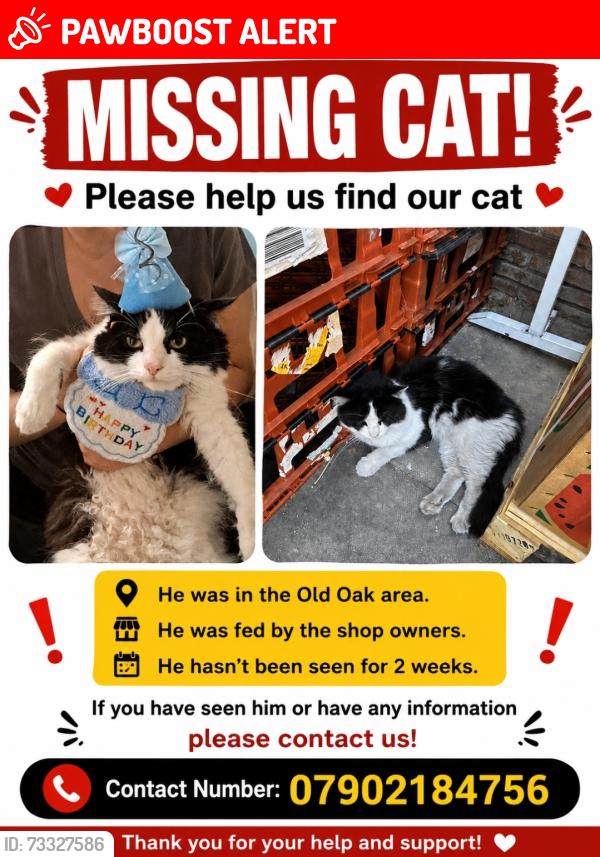 Lost Male Cat last seen Old oak common lane, Greater London, England 