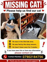 Lost Male Cat last seen Old oak common lane, Greater London, England 
