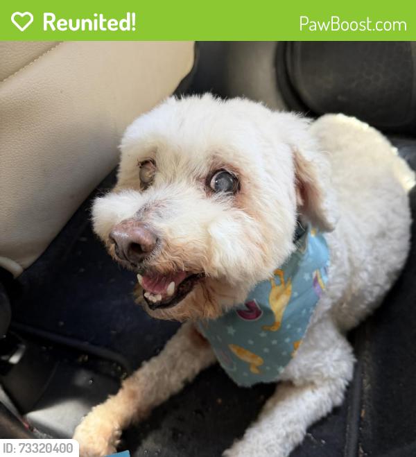 Reunited Male Dog last seen Route 46, Dedham, ME 04429